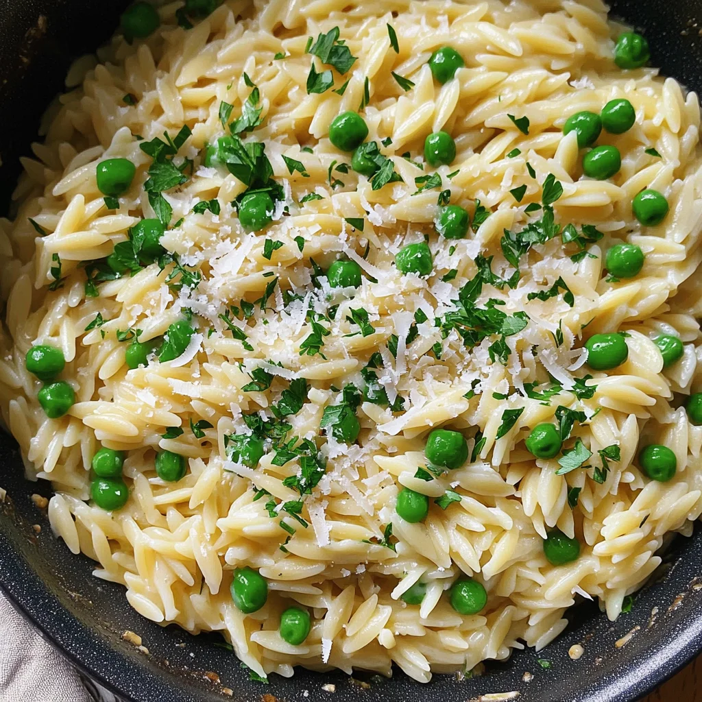 Garlic Parmesan Orzo Pasta Recipe